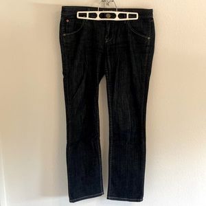 Size 29 Hudson Jeans